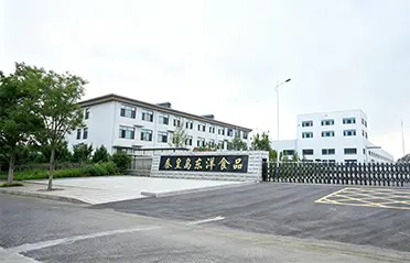 Với khoản đầu tư 250 triệu RMB và nhà máy rộng 40.000㎡, Dongyang Foods đã xây dựng nền tảng vững chắc cho việc sản xuất mì ăn liền chất lượng cao.