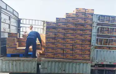 Một chiếc bánh mì Mala Tang (lẩu cay) phải đi qua bao nhiêu trạm kiểm soát trước khi được chất lên xe tải ở Thẩm Dương? Một chiếc bánh mì Mala Tang (lẩu cay) phải đi qua bao nhiêu trạm kiểm soát trước khi được chất lên xe tải ở Thẩm Dương?